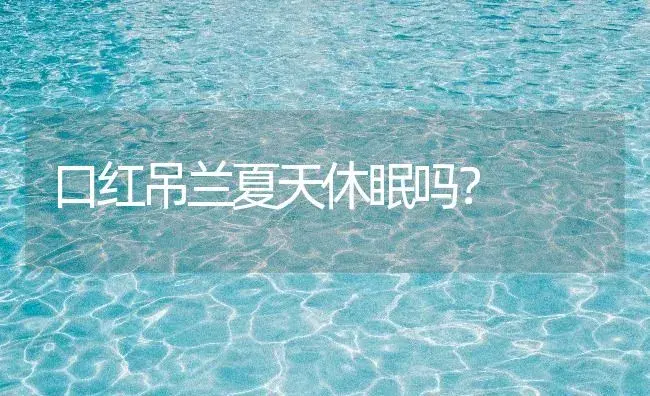 口红吊兰夏天休眠吗？ | 植物问答