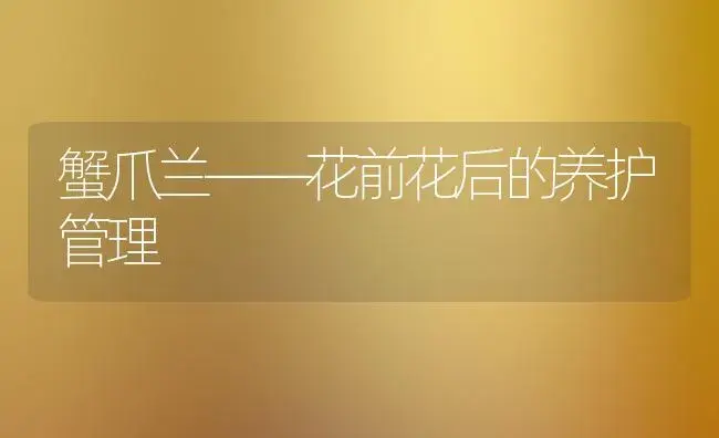 蟹爪兰——花前花后的养护管理 | 植物科普