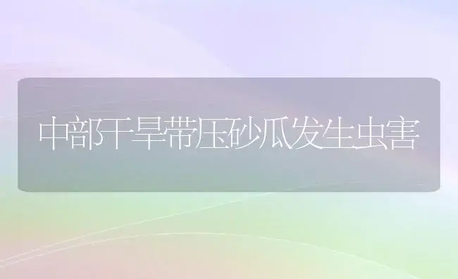 中部干旱带压砂瓜发生虫害 | 植物百科