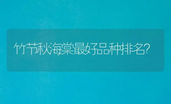 竹节秋海棠最好品种排名？ | 植物问答