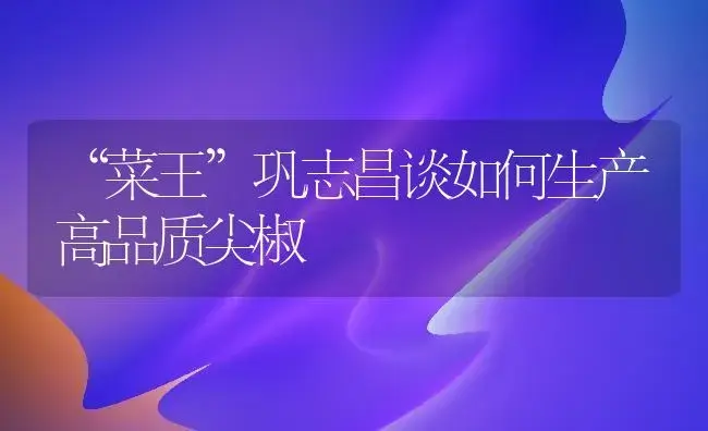 “菜王”巩志昌谈如何生产高品质尖椒 | 植物百科