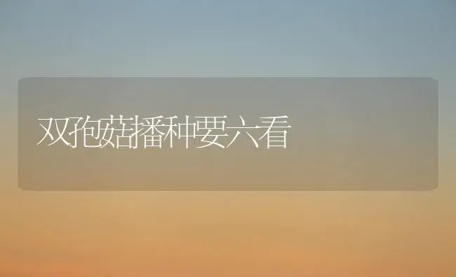 双孢菇播种要六看 | 植物科普