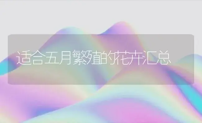 适合五月繁殖的花卉汇总 | 植物知识
