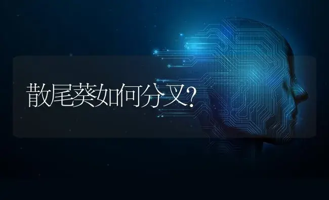 散尾葵如何分叉？ | 植物问答