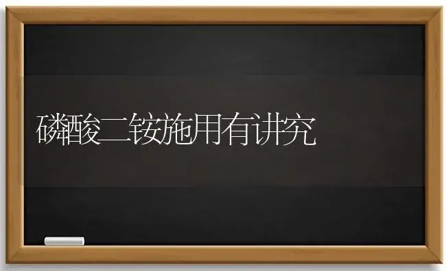 磷酸二铵施用有讲究 | 植物科普