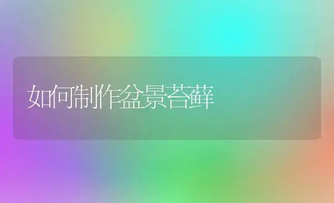 如何制作盆景苔藓 | 植物知识