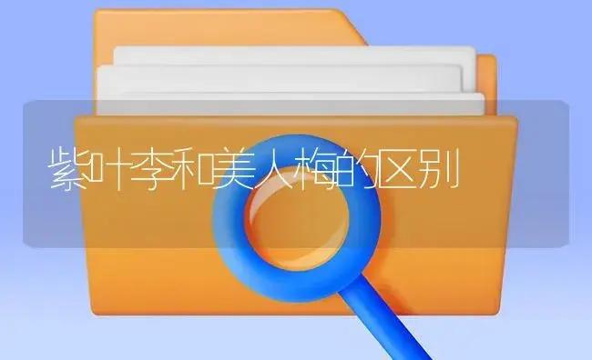 紫叶李和美人梅的区别 | 植物知识