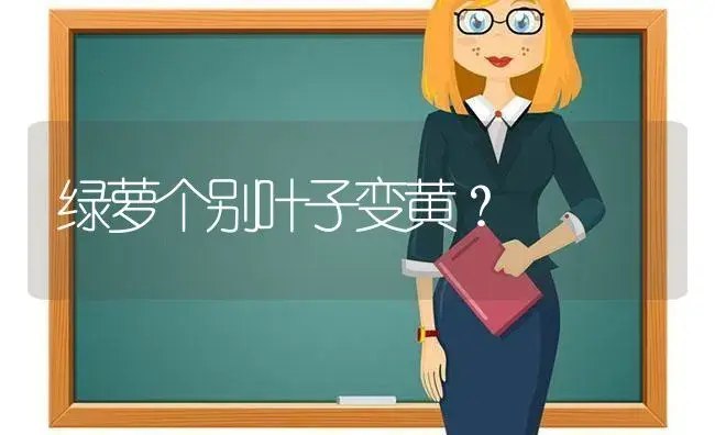 绿萝个别叶子变黄？ | 植物问答