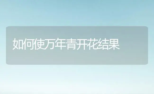 如何使万年青开花结果 | 植物知识