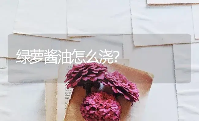 绿萝酱油怎么浇？ | 植物问答