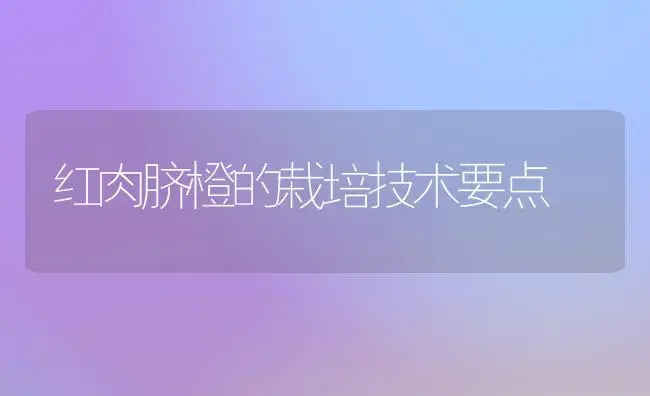 红肉脐橙的栽培技术要点 | 植物百科