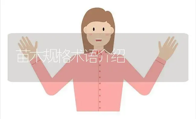 苗木规格术语介绍 | 植物科普