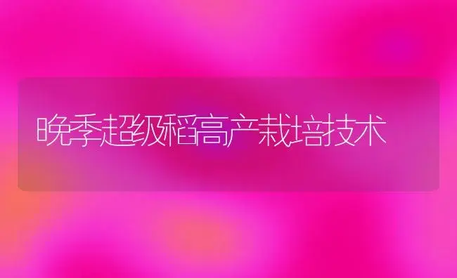 晚季超级稻高产栽培技术 | 植物科普