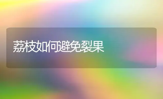 荔枝如何避免裂果 | 植物百科