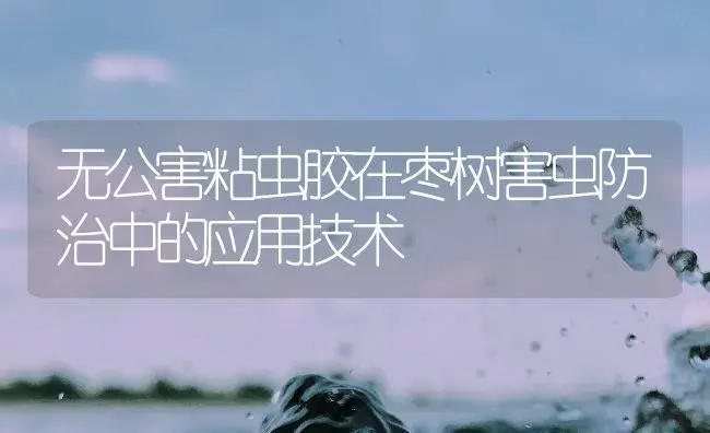 无公害粘虫胶在枣树害虫防治中的应用技术 | 植物知识