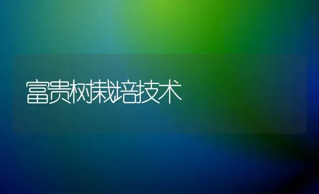 富贵树栽培技术 | 植物知识