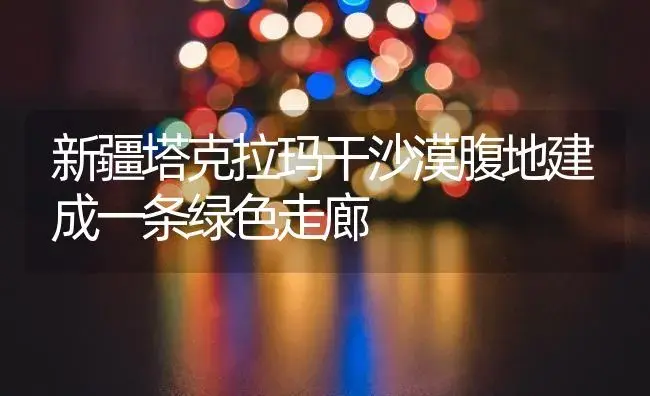 红掌的栽培管理 | 植物知识