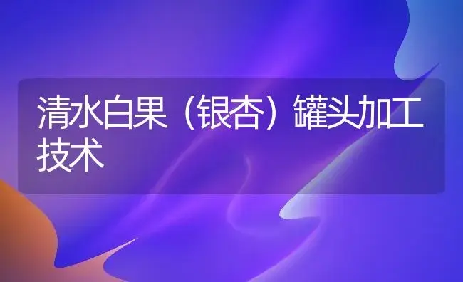 清水白果（银杏）罐头加工技术 | 植物知识
