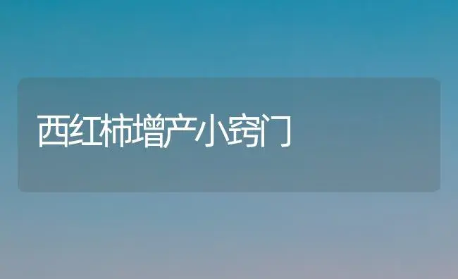 西红柿增产小窍门 | 植物科普
