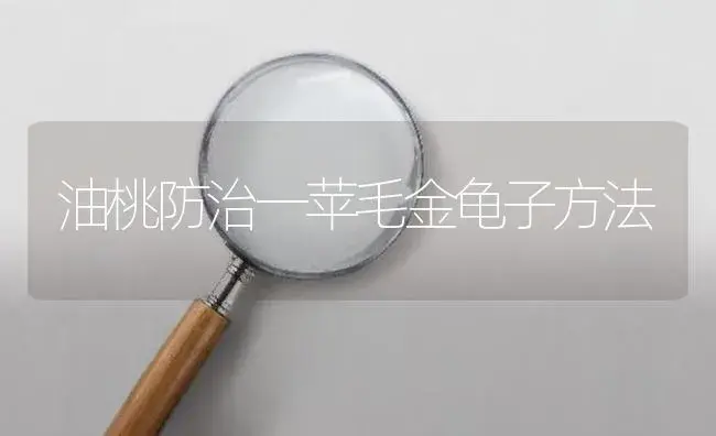 油桃防治一苹毛金龟子方法 | 植物百科