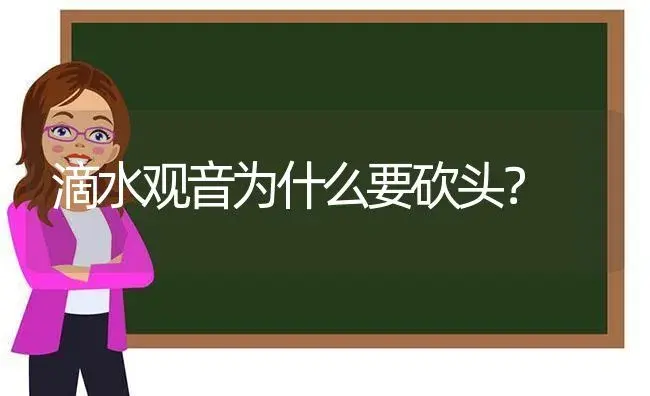 滴水观音为什么要砍头？ | 植物问答