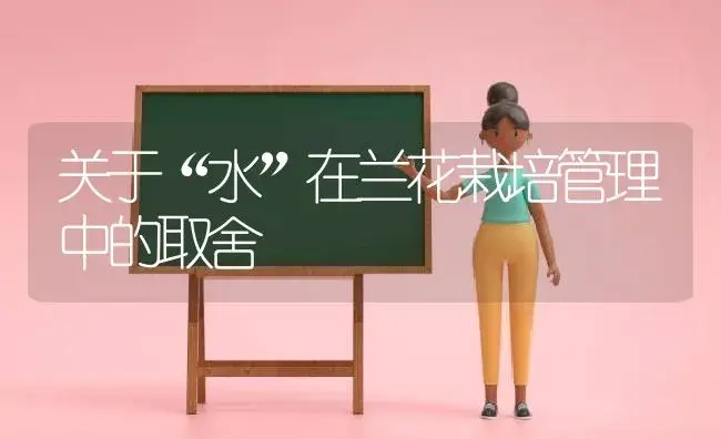 关于“水”在兰花栽培管理中的取舍 | 植物科普