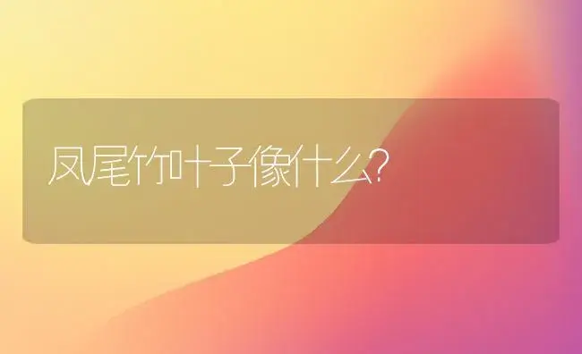 凤尾竹叶子像什么？ | 植物问答