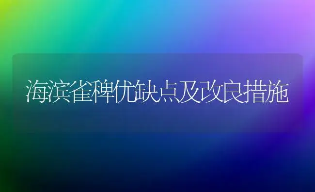 海滨雀稗优缺点及改良措施 | 植物科普