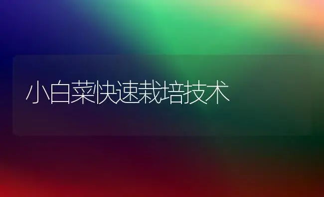 吸收有毒物质的绿植 | 植物科普