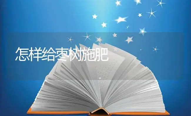 枇杷果实的防腐保鲜技术 | 植物百科