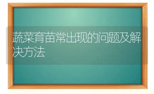 蔬菜育苗常出现的问题及解决方法 | 植物科普