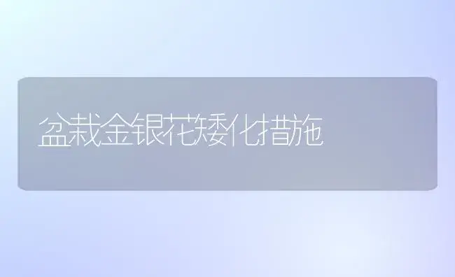 盆栽金银花矮化措施 | 植物科普