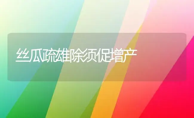 丝瓜疏雄除须促增产 | 植物科普