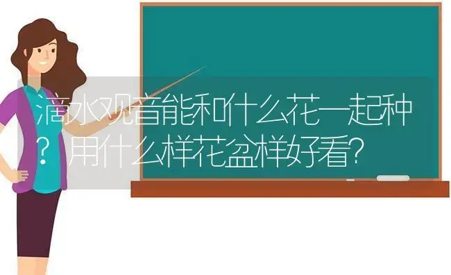 滴水观音能和什么花一起种?用什么样花盆样好看？ | 植物问答