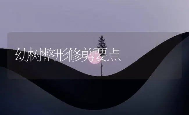 幼树整形修剪要点 | 植物百科