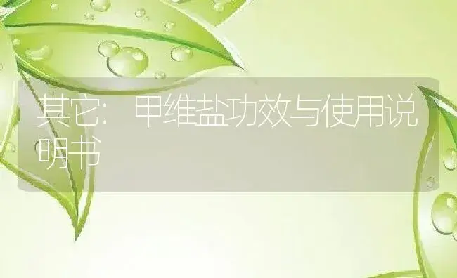 其它：甲维盐 | 适用防治对象及农作物使用方法说明书 | 植物资料