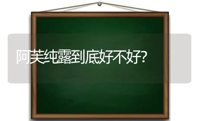 阿芙纯露到底好不好？ | 植物问答