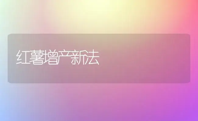 红薯增产新法 | 植物科普