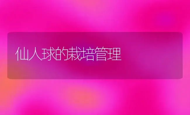 仙人球的栽培管理 | 植物科普