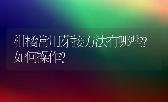 柑橘常用芽接方法有哪些？如何操作？ | 植物百科
