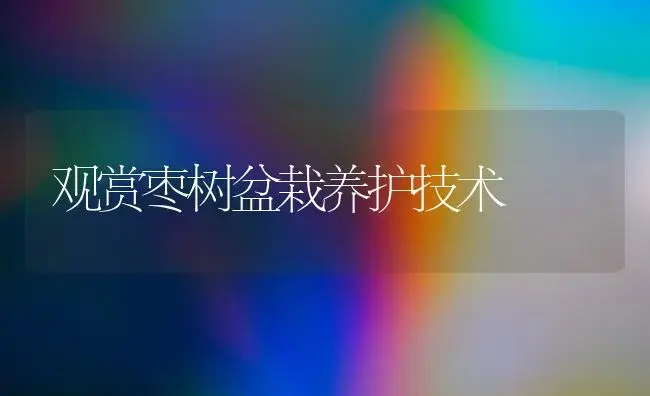 观赏枣树盆栽养护技术 | 植物科普