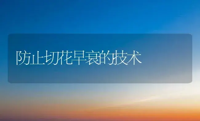 防止切花早衰的技术 | 植物科普