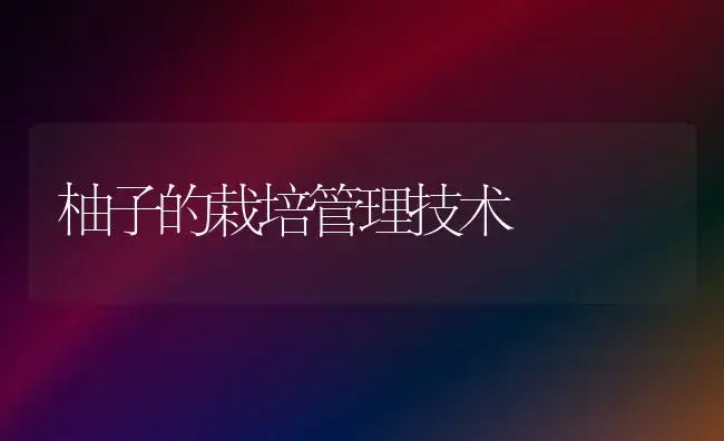 柚子的栽培管理技术 | 植物百科