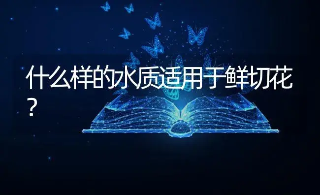 什么样的水质适用于鲜切花？ | 植物知识