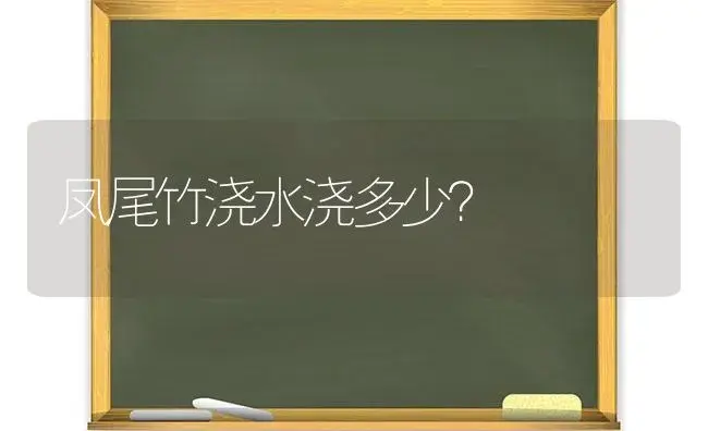 凤尾竹浇水浇多少？ | 植物问答