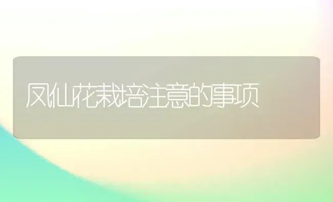 凤仙花栽培注意的事项 | 植物科普