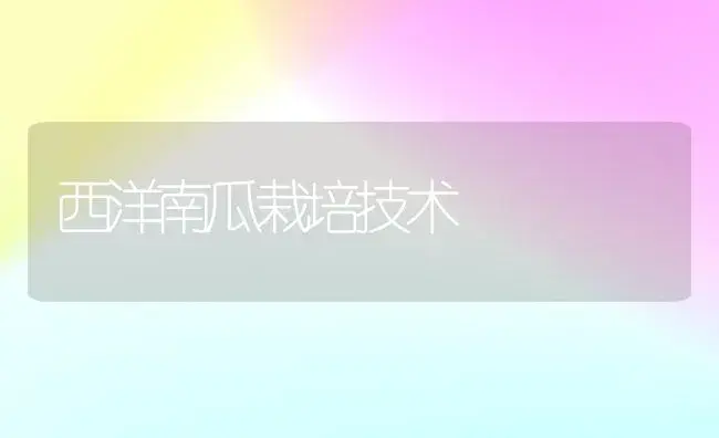 西洋南瓜栽培技术 | 植物百科