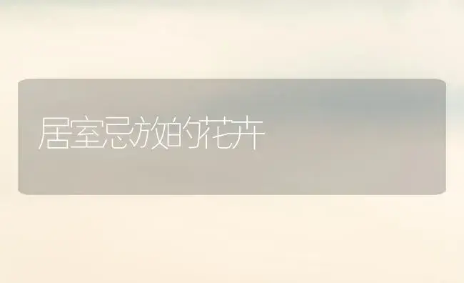 居室忌放的花卉 | 植物知识