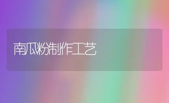 南瓜粉制作工艺 | 植物百科