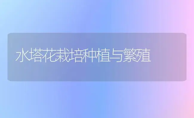 水塔花栽培种植与繁殖 | 植物科普